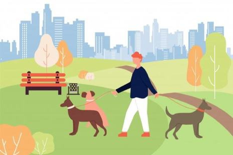 Подольчанам напоминают правила выгула домашних животных