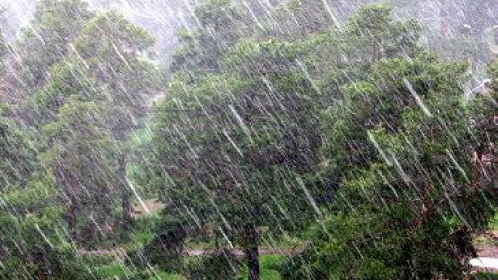 МЧС предупредило о грозе, ливнях и шквалистом ветре