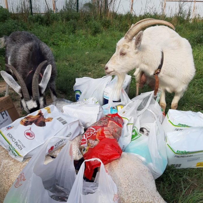 Сотрудники МЦ «Максимум» завершили акцию «Доброе дело»