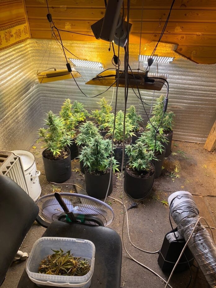 Подмосковные полицейские в г.о. Подольск изъяли более 650 граммов наркотиков