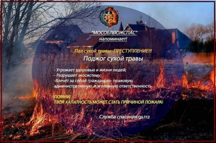 Берегите лес от пожаров!