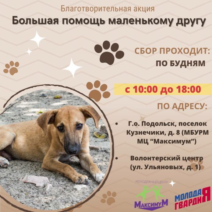 Большая помощь маленькому другу