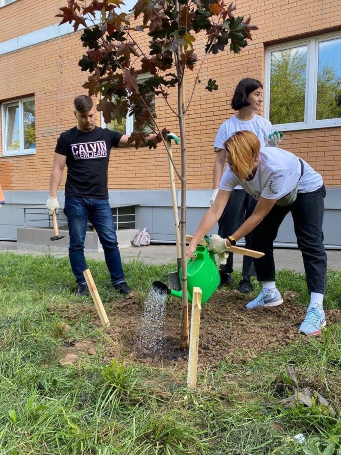 В микрорайоне Парковый посадили новые деревья