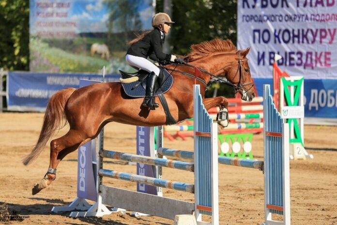 В выходные в КСК «Фаворит» состоится турнир по выездке и конкуру на Кубок главы...