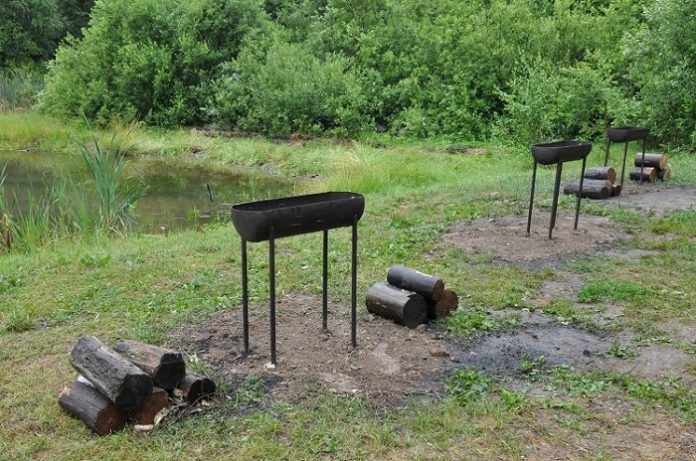 Первую зону для пикника открыли в Подмосковье