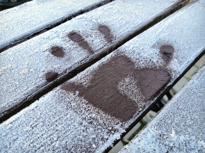 Подведены итоги конкурса любительской фотографии #ВОбъективеЗима подвели в ДК «Октябрь»