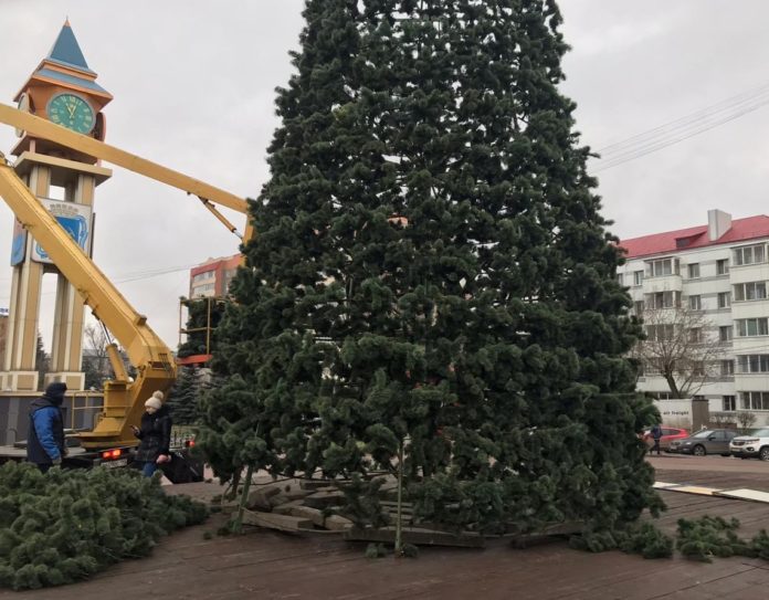Главную ёлку округа устанавливают в сквере Поколений