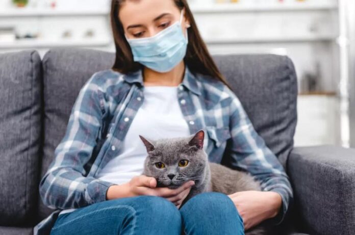 Роспотребнадзор доводит до сведения: об основных принципах карантина в домашних условиях