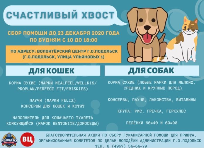 Комитет по делам молодёжи администрации Городского округа Подольск проводит тематическую акцию «Счастливый хвост»