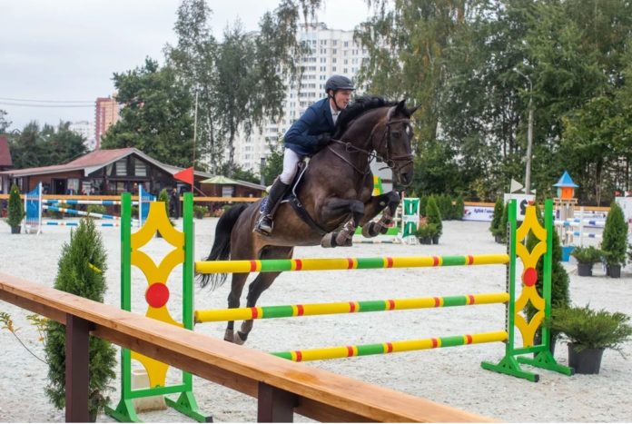 Глава муниципалитета наградил победителей турнира по конкуру на Кубок главы округа