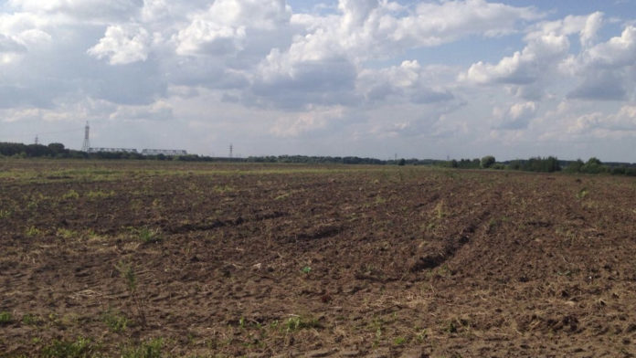 Внести изменения в перечень особо ценных сельскохозугодий Подмосковья теперь можно онлайн