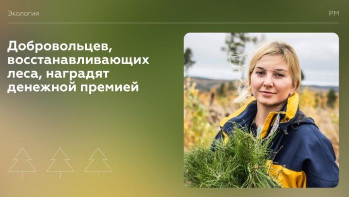 Добровольцев, восстанавливающих леса, наградят премией