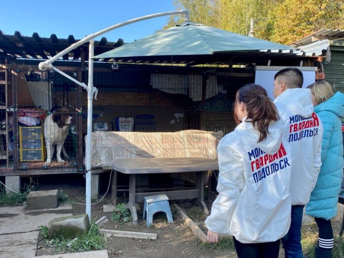 Подольские молодогвардейцы пожертвовали корм в частный приют для животных