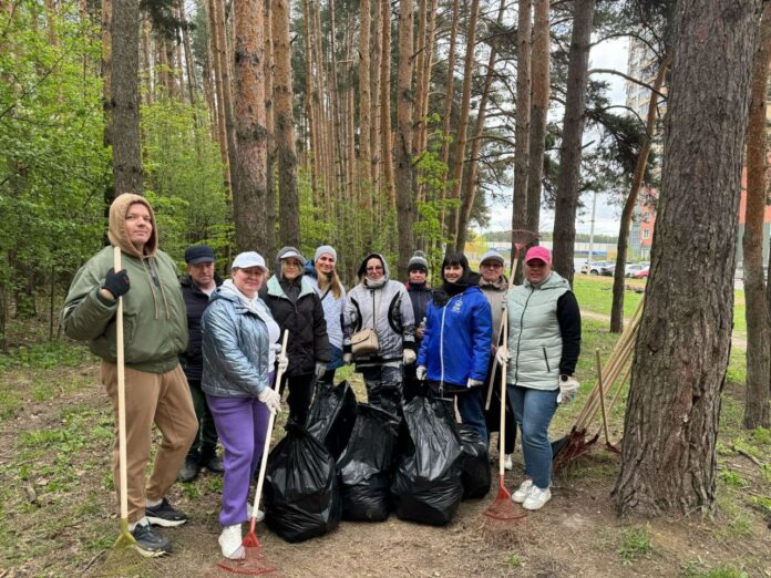 Партийцы Подольска приняли участие в акции «Всероссийский общественный субботник»