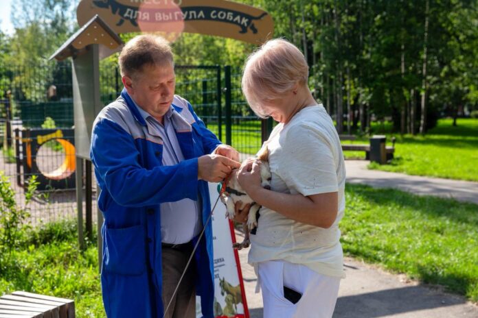 Передвижной ветпункт будет работать в сквере 200-летия города Подольска
