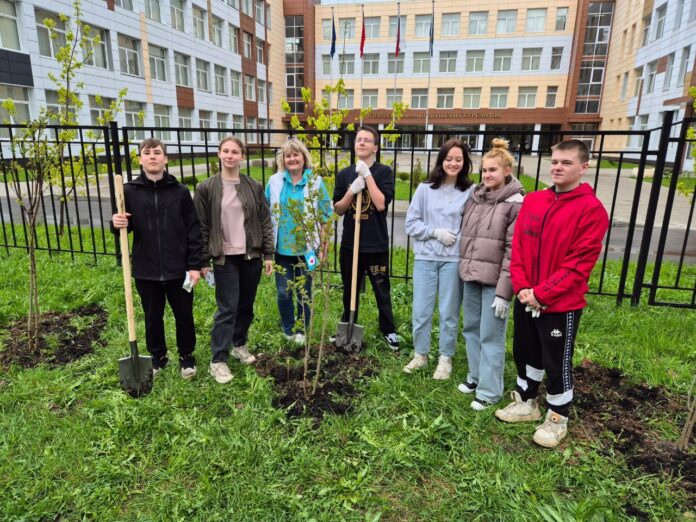 На территории гимназии имени Подольских курсантов высадили 20 кустов сирени и липовую аллею