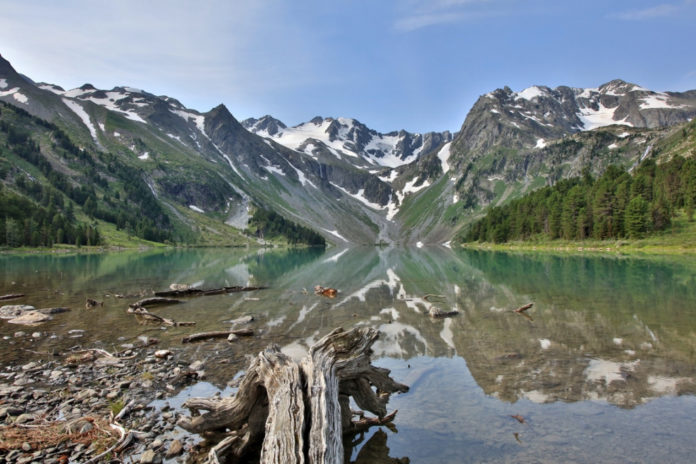 Приглашаем жителей округа принять участие в экологическом конкурсе