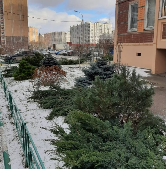 Содержание многоквартирного дома № 8 по улице Академика Доллежаля проверили в Кузнечиках