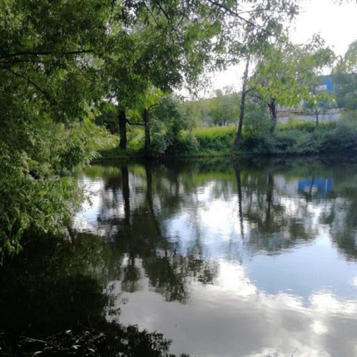 По требованию Минэкологии в Подольске устраняются причины загрязнения водного объекта