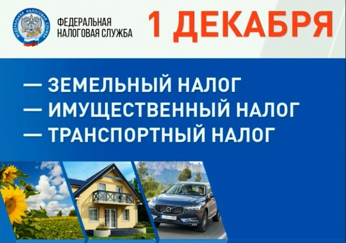 Оплатите налоги до 1 декабря