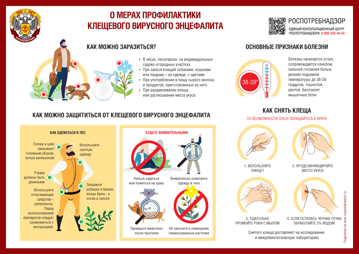 О мерах профилактики клещевых инфекций