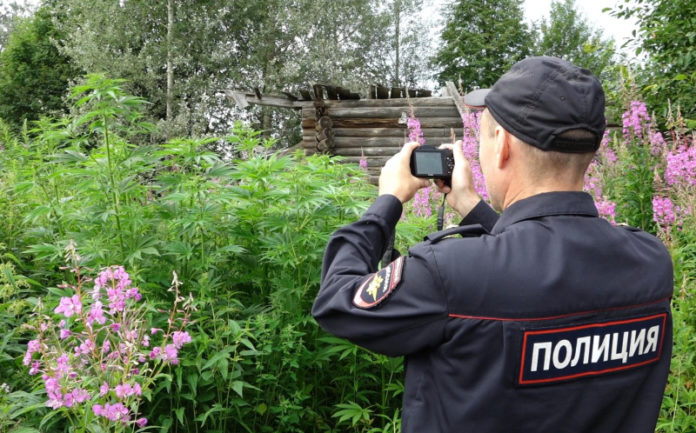 Оперативно – профилактическую операцию «МАК-2021» проведут в Подольске