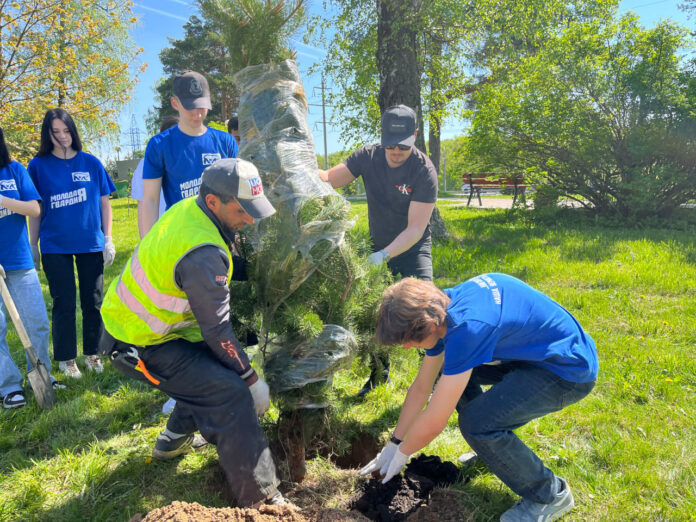 Подольские молодогвардейцы приняли участие в эколого-патриотической акции «Лес Победы» и посадили свое дерево
