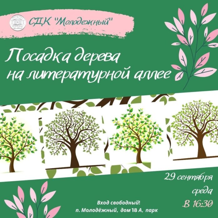 На вырученные средства после сдачи макулатуры в пос. Молодежный высадят еще одно дерево