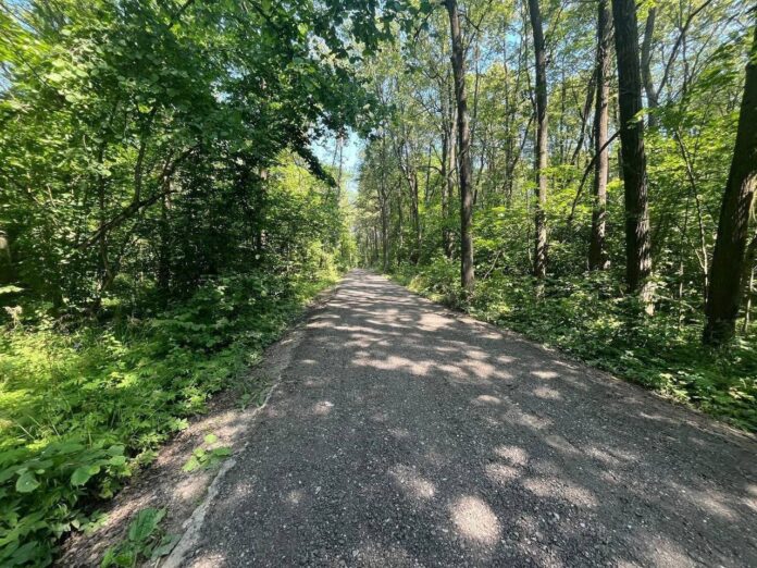 Партпроект «Доброе дело» помог отремонтировать дорогу в СНТ «Озерки»