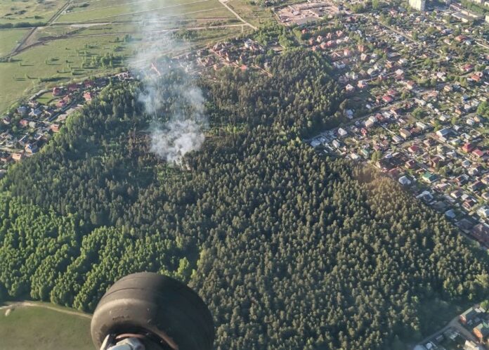В связи с высокой пожарной опасностью в Подмосковье ограничено пребывание граждан в лесах
