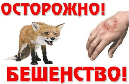 Подольский территориальный отдел Управления Роспотребнадзора по Московской области информирует