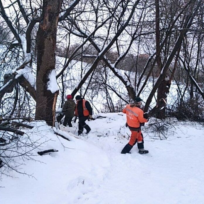 Работы очистке береговой линии от сухостоя и аварийных деревьев в парке Талалихина проводит Подольский...