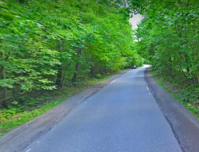 В нынешнем году автомобильную дорогу «Дубровицы – Луковня» отремонтируют