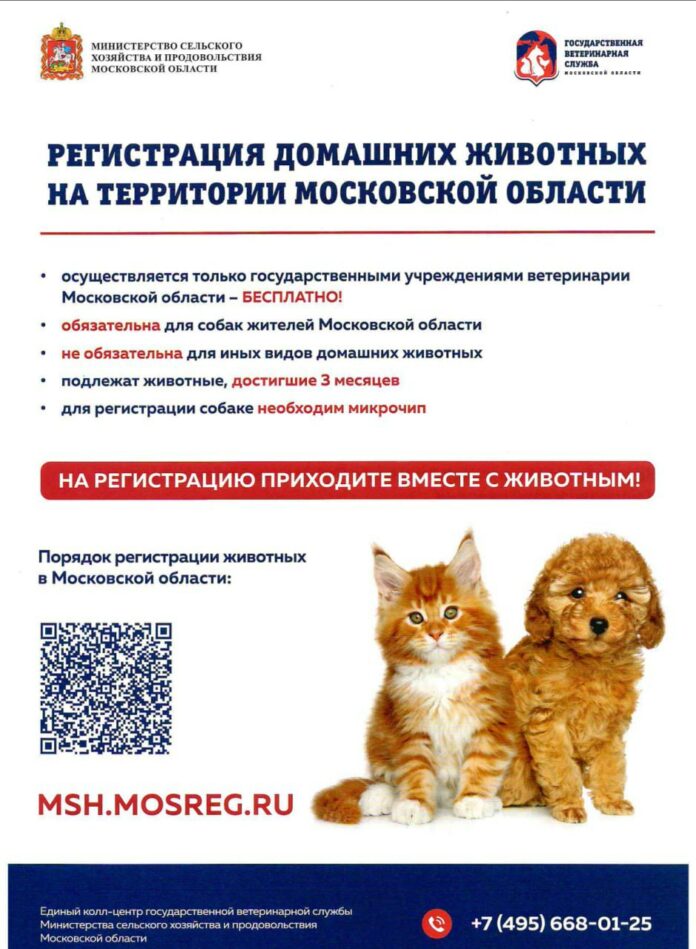 Зарегистрировать, чипировать и привить домашних животных можно будет в парке Талалихина