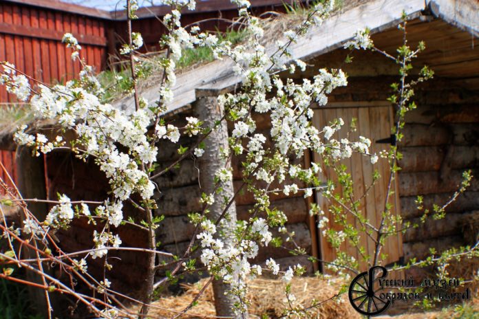 К сведению подольчан: Русский музей обрядов и быта открывает запись на экскурсию