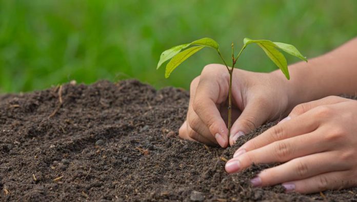 Жителей Подольска приглашают принять участие в проекте «Экопоколение»