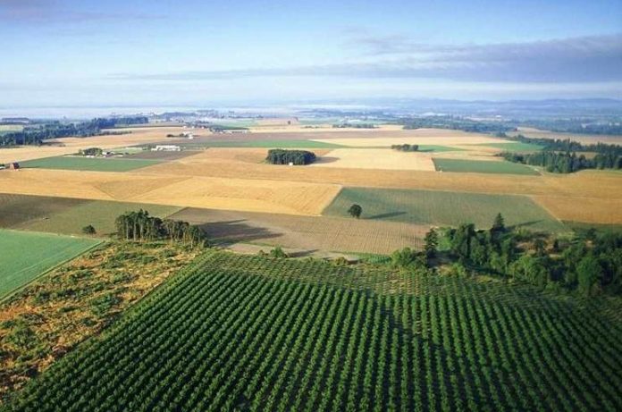 Комитет имущественных и земельных отношений администрации доводит до сведения граждан