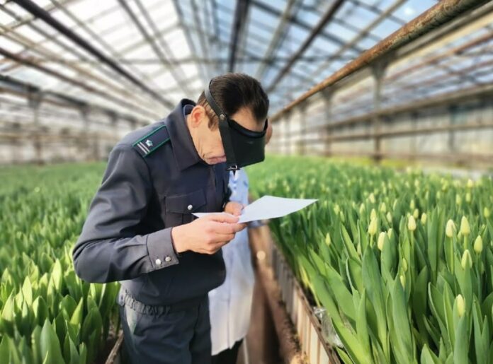 Об изменениях в нормативных правовых актах в области карантина растений Евразийского экономического союза