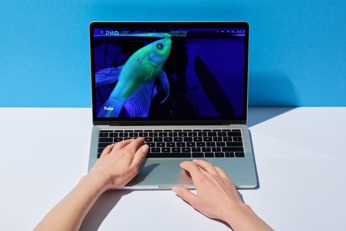 РНФ представил мультимедийный проект, посвященный лабораторным животным