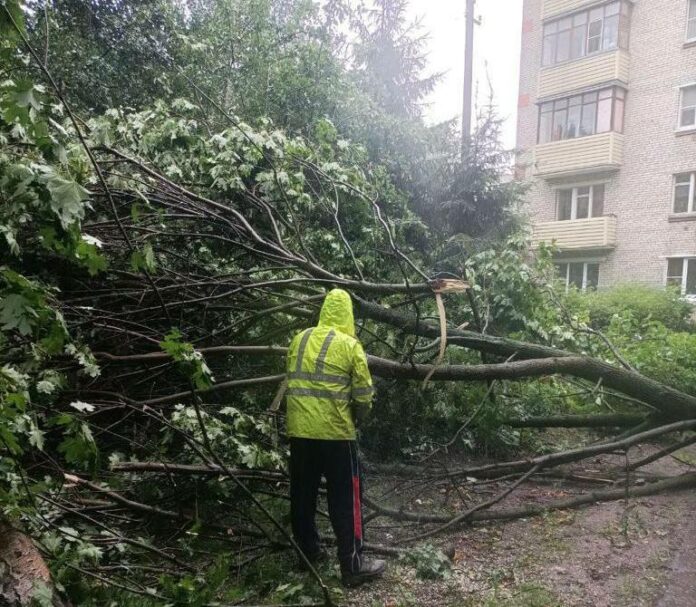 В Подольске ликвидируют последствия разгула стихии
