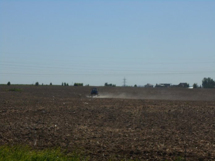 Проведение муниципального земельного контроля