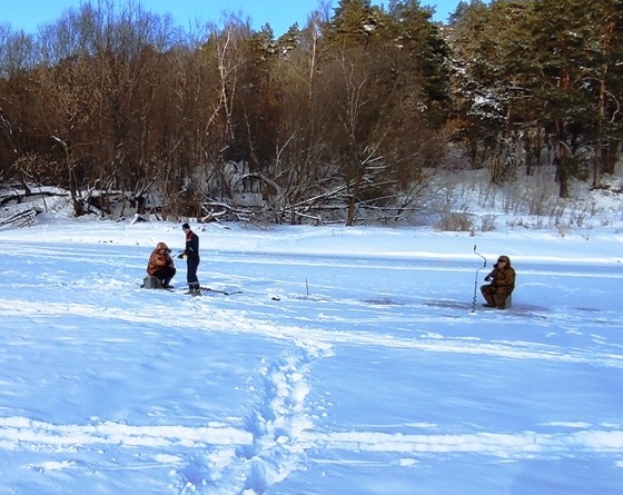 Толщина льда на Пахре 9 февраля