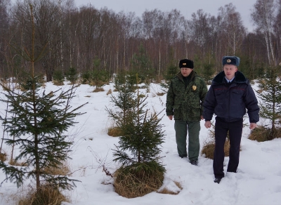 Информируем подольчан: в Московской области стартует операция «Елочка»