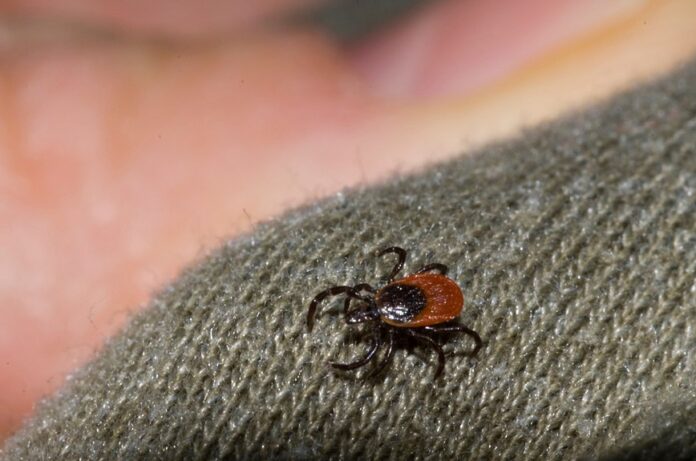 Информация для жителей округа