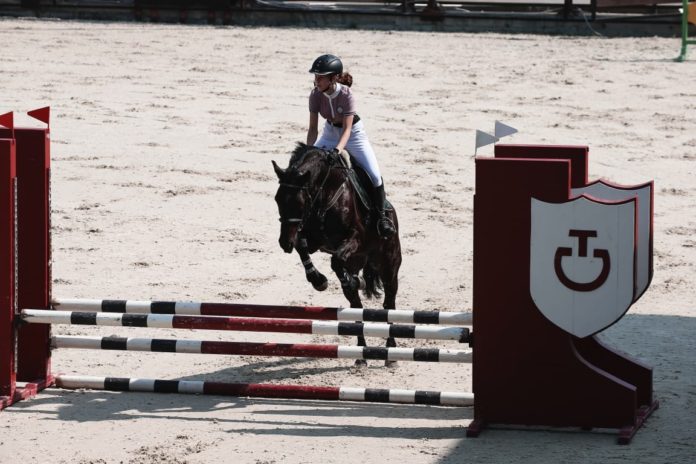 Наездники КСК «Фаворит» лучшие в Московской области