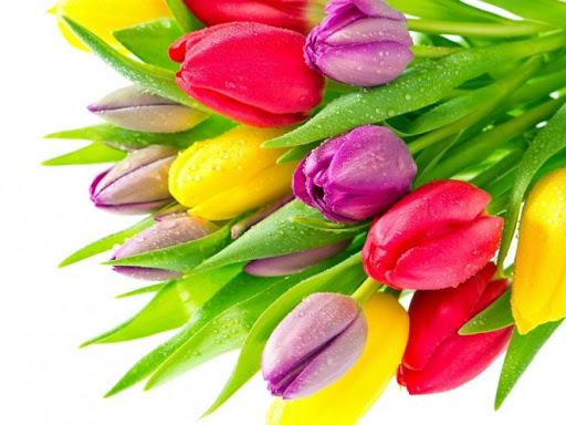 В ДК «Молодежный» 8 марта состоится праздничный концерт «Всё для тебя»