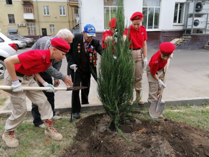 Ветераны Великой Отечественной войны 5 сентября поучаствовали в субботнике во дворе дома №2/18 по...