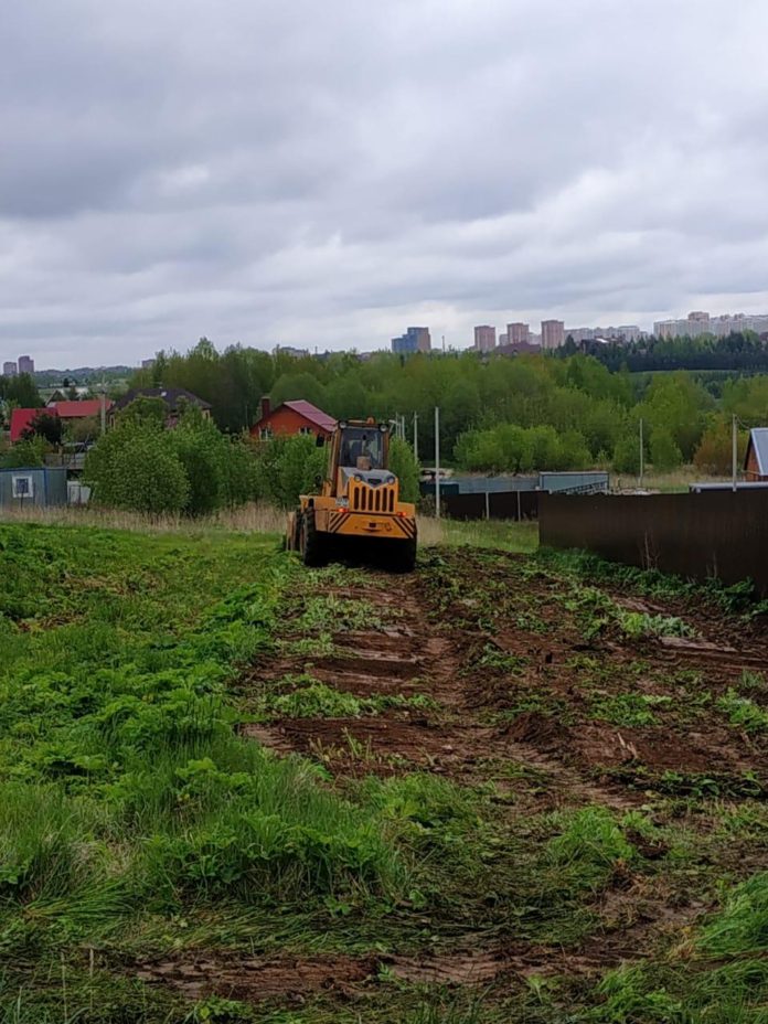 Заросли борщевика в микрорайоне Дубровицкий уничтожаются