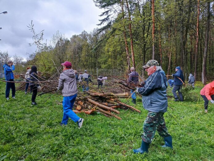 Сегодня очистили от опавших веток и сухостоя территорию ФСК «Заречье»