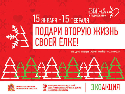 Сдать на утилизацию живые новогодние елки можно будет по 22 адресам с 15 января...